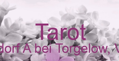 Tarot Neündorf A bei Torgelow, Vorpommern | Top-Experten für Kartenlegen, Wahrsagen, Hellsehen, Zukunftsdeutung. Tarot Neündorf A bei Torgelow, Vorpommern | Top-Experten für Kartenlegen, Wahrsagen, Hellsehen, Zukunftsdeutung.